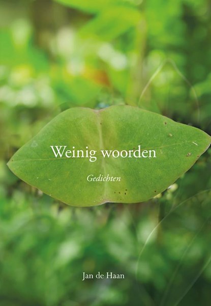 Weinig woorden, Jan de Haan - Paperback - 9789463653152