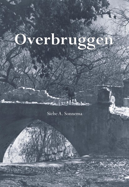 Overbruggen, Siebe A. Sonnema - Ebook - 9789463654203