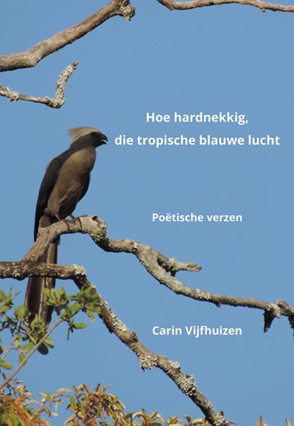 Hoe hardnekkig, die tropische blauwe lucht, Carin Vijfhuizen - Paperback - 9789463654890