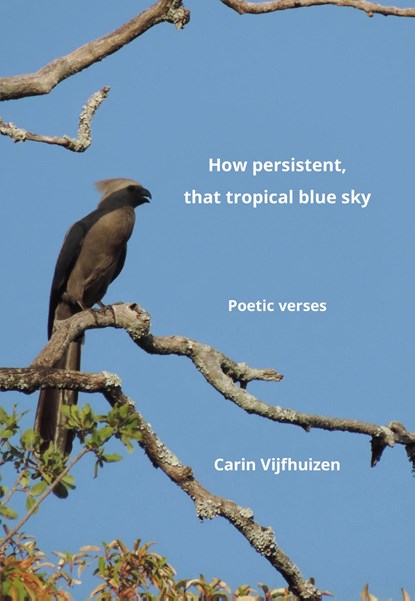 How persistent, that tropical blue sky, Carin Vijfhuizen - Ebook - 9789463655002