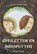Amuletten en aardpotten, Pieter Stoer - Paperback - 9789463656818