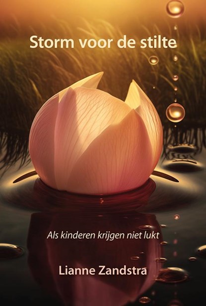 Storm voor de stilte, Lianne Zandstra - Paperback - 9789463657716