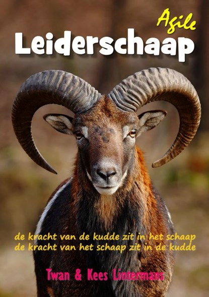 Agile leiderschaap, Kees en Twan Lintermans - Paperback - 9789463673617