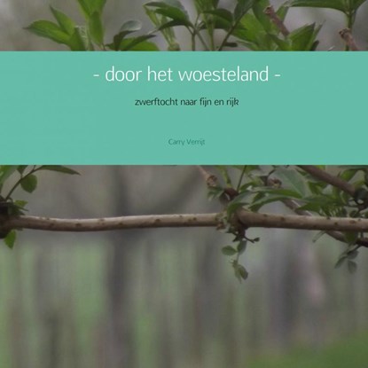 - door het woesteland -, Carry Verrijt - Paperback - 9789463673952