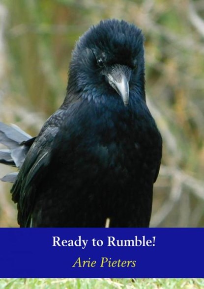 Ready to Rumble!, Arie Pieters - Paperback - 9789463673969