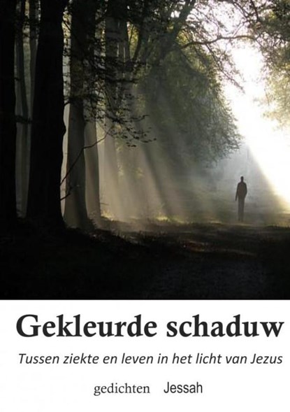 Gekleurde schaduw, Jessah Groenink - Paperback - 9789463675581