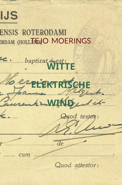 Witte Elektrische Wind, Tejo Moerings - Paperback - 9789463678209