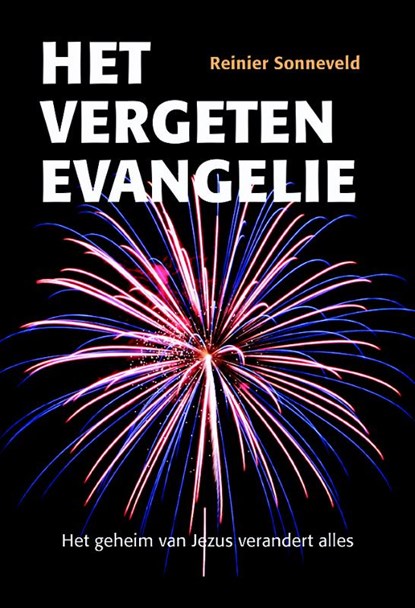 Het vergeten evangelie, Reinier Sonneveld - Paperback - 9789463690034