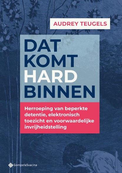 Dat komt hard binnen, Audrey Teugels - Paperback - 9789463715362