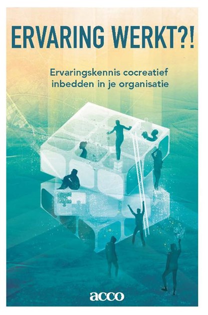 Ervaring werkt, Didier Reynaert - Paperback - 9789463798266