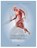 Functionele anatomie van de beweging, Frank Vandenabeele ; Anouk Agten - Paperback - 9789463799980