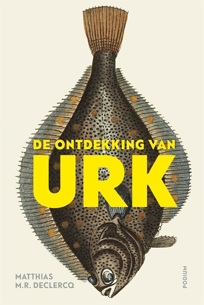 De ontdekking van Urk, Matthias M.R. Declercq - Ebook - 9789463810272