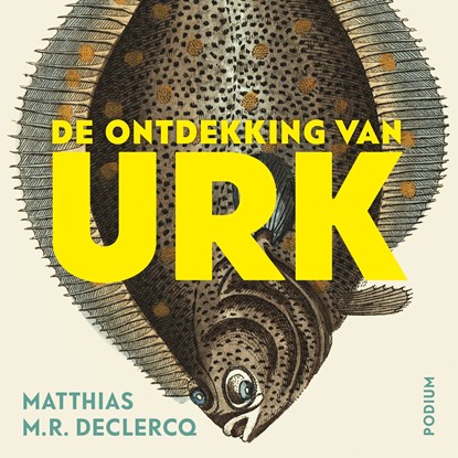 De ontdekking van Urk, Matthias M.R. Declercq - Luisterboek MP3 - 9789463810623