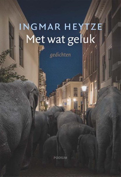 Met wat geluk, Ingmar Heytze - Paperback - 9789463811576
