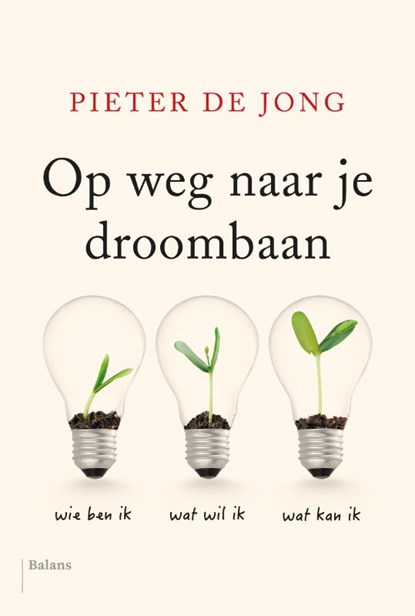 Op weg naar je droombaan, Pieter de Jong - Paperback - 9789463820417