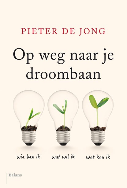 Op weg naar je droombaan, Pieter de Jong - Ebook - 9789463820424