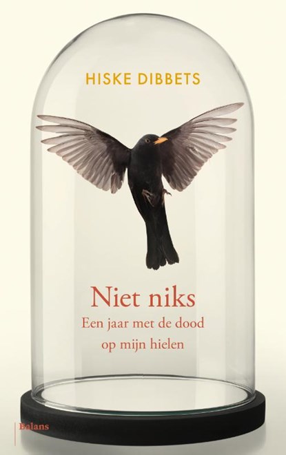 Niet niks, Hiske Dibbets - Paperback - 9789463822657