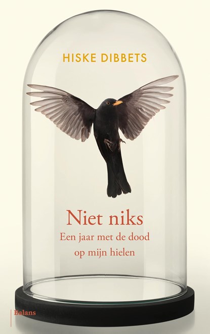 Niet niks, Hiske Dibbets - Ebook - 9789463823029