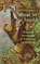 Rust in je hoofd, Joseph Jebelli - Paperback - 9789463824200