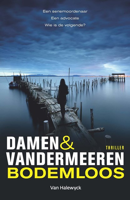 Bodemloos, Damen & Vandermeeren - Ebook - 9789463831208