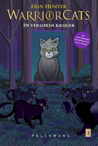 De verloren krijger 1 Grijsstreeps terugkeer, Erin Hunter ; Dan Jolley - Paperback - 9789463835169