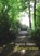 Vlinders van brokaat, Ingrid E. Noppen - Paperback - 9789463860925