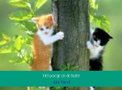 Het poesje en de kater, Jane Kievit - Paperback - 9789463861502