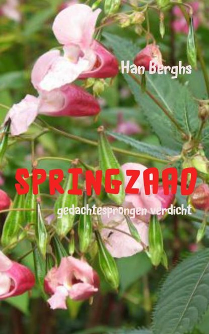 Springzaad, Han Berghs - Paperback - 9789463861632