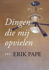 Dingen die mij opvielen - Erik Pape - 9789463863100