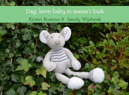 Dag, lieve baby in mama's buik, Kirstin Rozema & Sandy Wijsbeek - Paperback - 9789463867795