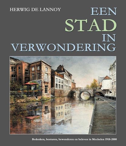 Een stad in verwondering, Herwig De Lannoy - Gebonden - 9789463883771