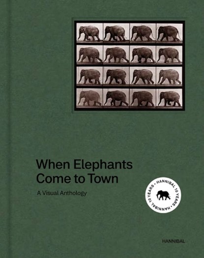 When Elephant Come to Town, James Attlee - Gebonden - 9789463887519