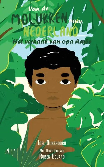 Het verhaal van Ambe, Joël Dijkshoorn - Paperback - 9789463895156