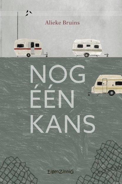 Nog één kans, Alieke Bruins - Paperback - 9789463900362