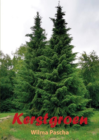 Kerstgroen, Wilma Pascha - Paperback - 9789463900461