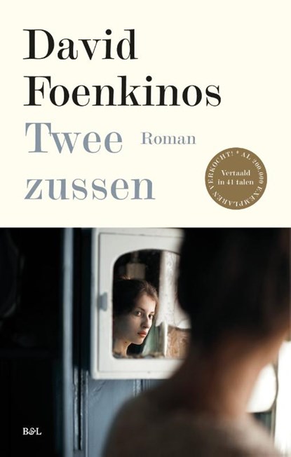 Twee zussen, David Foenkinos - Paperback - 9789463930673