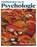 Fundamenten van de psychologie, Marc Brysbaert - Paperback - 9789463936972