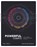 Powerful Charts, Koen van den Eeckhout - Paperback - 9789463937290
