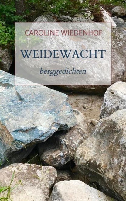 Weidewacht, Caroline Wiedenhof - Paperback - 9789463984058