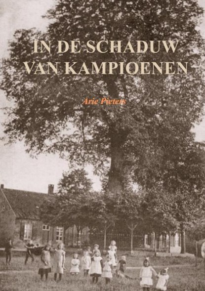 In de schaduw van kampioenen, Arie Pieters - Paperback - 9789463986304