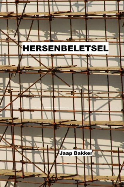 Hersenbeletsel, Jaap Bakker - Paperback - 9789463986595