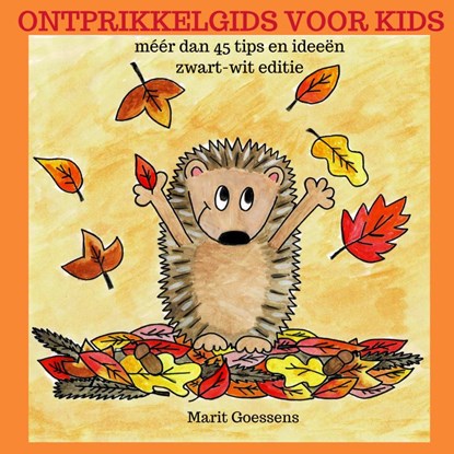 Ontprikkelgids voor kids, Marit Goessens - Paperback - 9789463989237