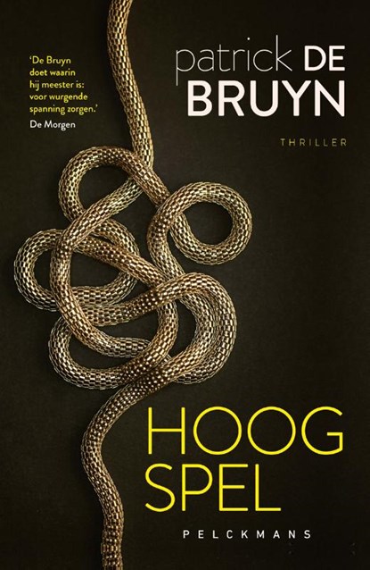 Hoog spel, Patrick De Bruyn - Paperback - 9789464012194