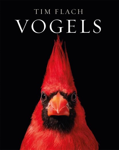 Vogels, Tim Flach - Gebonden - 9789464040678