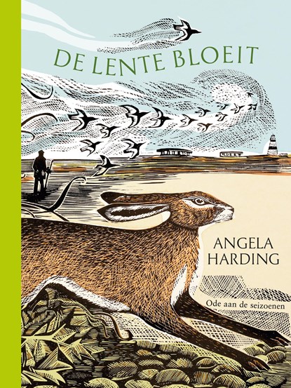 De lente bloeit, Angela Harding - Gebonden - 9789464044157