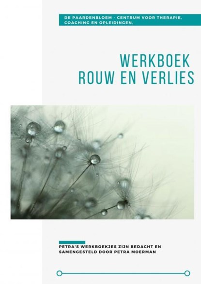 Werkboek Rouw en verlies, Petra Moerman - Paperback - 9789464051759