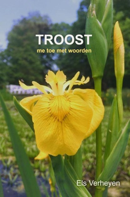 Troost, Els Verheyen - Paperback - 9789464057249