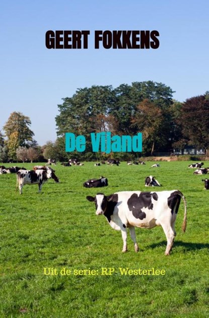 De Vijand, Geert Fokkens - Paperback - 9789464057683