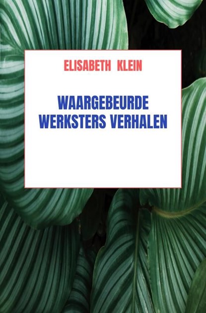 Waargebeurde werkster verhalen, Elisabeth Klein - Ebook - 9789464058437