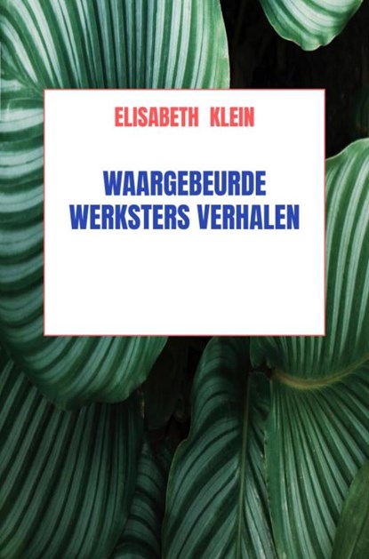 Waargebeurde werkster verhalen, Elisabeth Klein - Ebook - 9789464058437